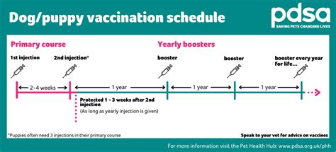 leptospirosis vaccine schedule for dogs.